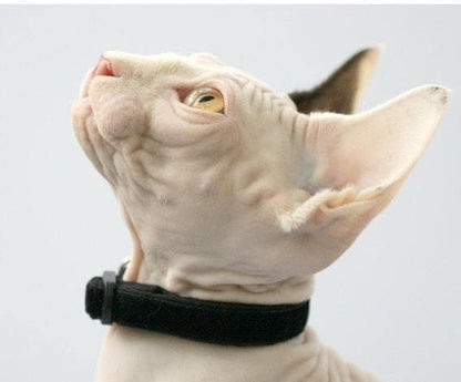 Soft Black Velvet Cat Collar